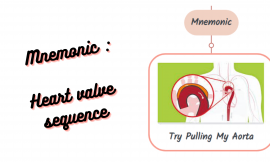 Mnemonic :  Heart Valve Sequence
