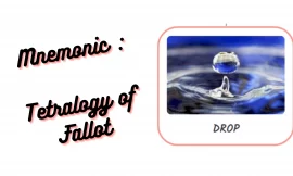 Mnemonic : Tetralogy of Fallot