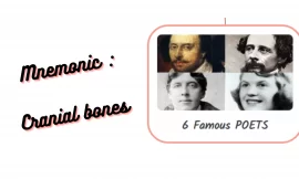 Mnemonic : Cranial bones