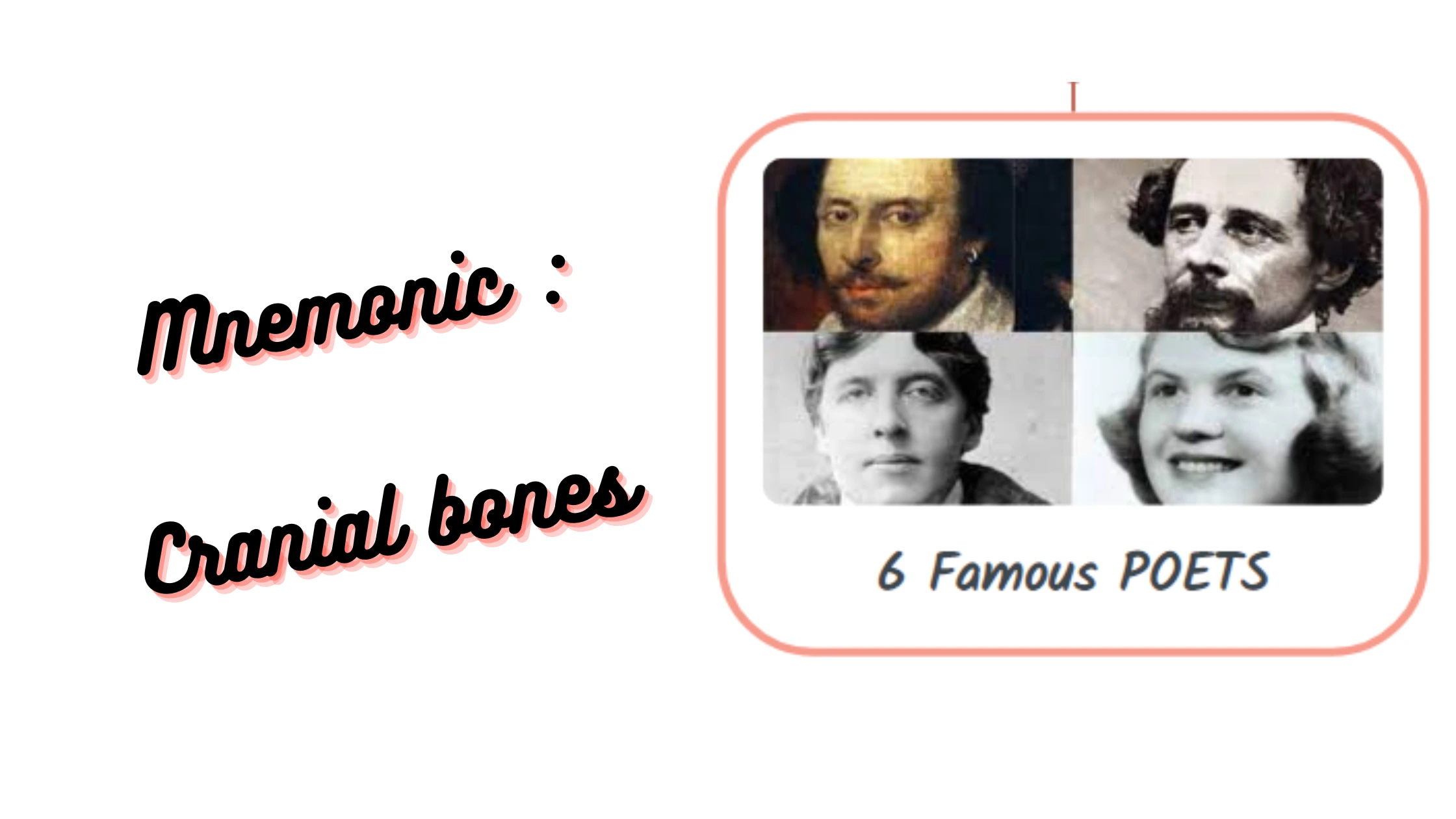 You are currently viewing Mnemonic : Cranial bones