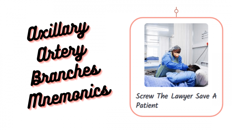 Read more about the article [Very Cool] Mnemonic: Axillary artery branches
