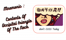 Mnemonic :  Contents Of Occipital triangle Of The Neck