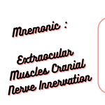 Mnemonic _ Extraocular Muscles Cranial Nerve Innervation FOR medical exams & medical students