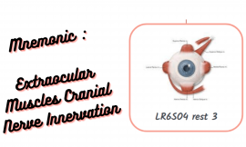 [Very Cool] Mnemonic : Extraocular Muscles Cranial Nerve Innervation