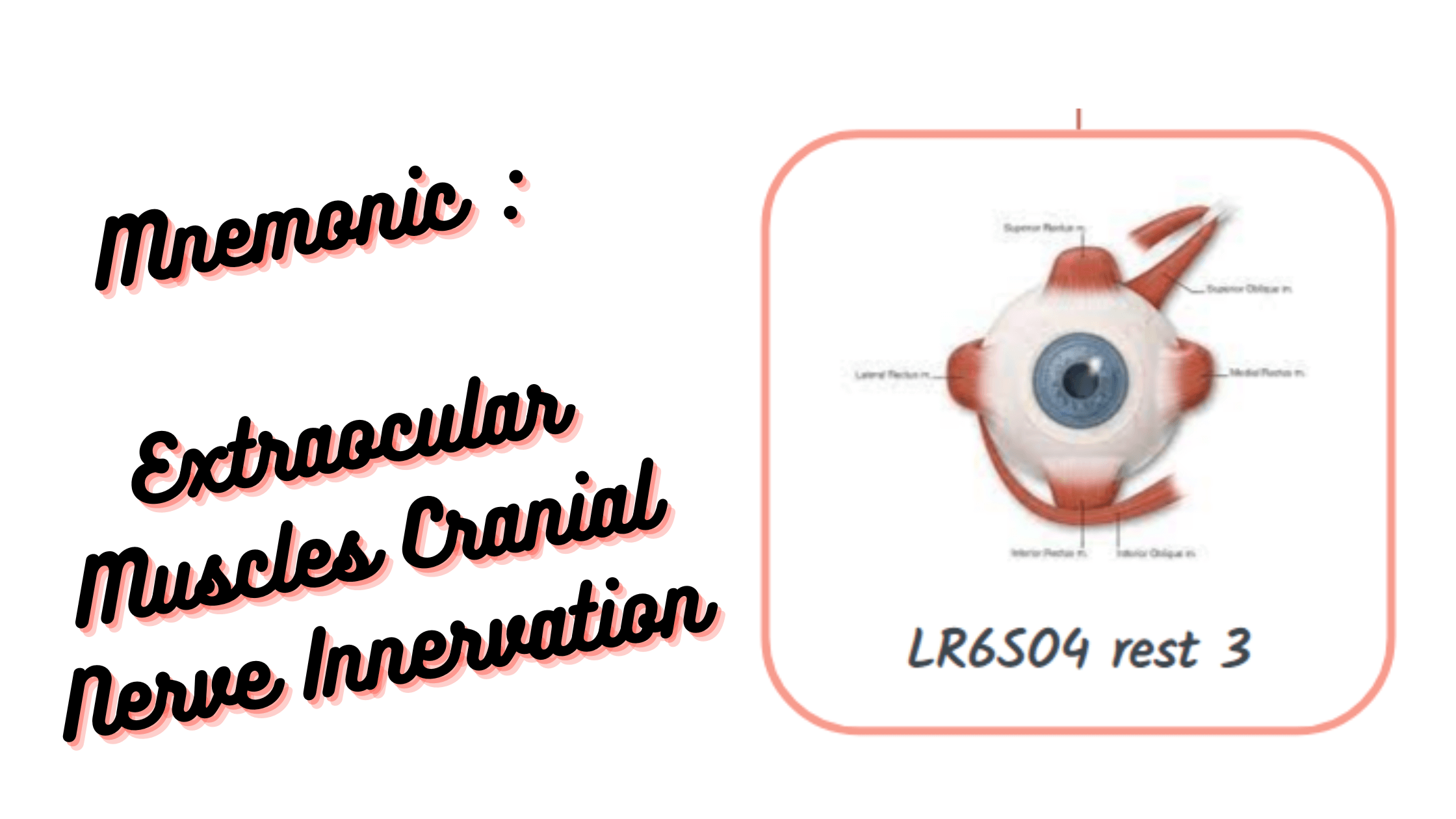 Mnemonic _ Extraocular Muscles Cranial Nerve Innervation FOR medical exams & medical students