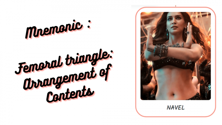 Read more about the article [Very Cool] Mnemonic : Femoral Triangle: Arrangement of Contents