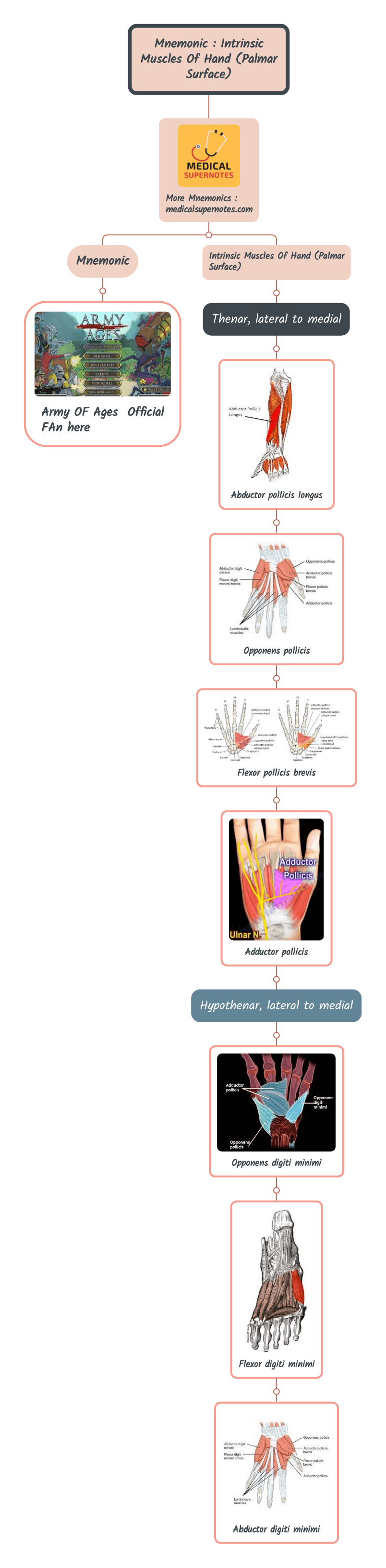 Mnemonic _ Intrinsic Muscles Of Hand (Palmar Surface)