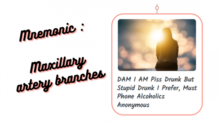 Read more about the article [Very Cool] Mnemonic : Maxillary artery branches