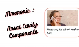 Mnemonic : Nasal Cavity Components
