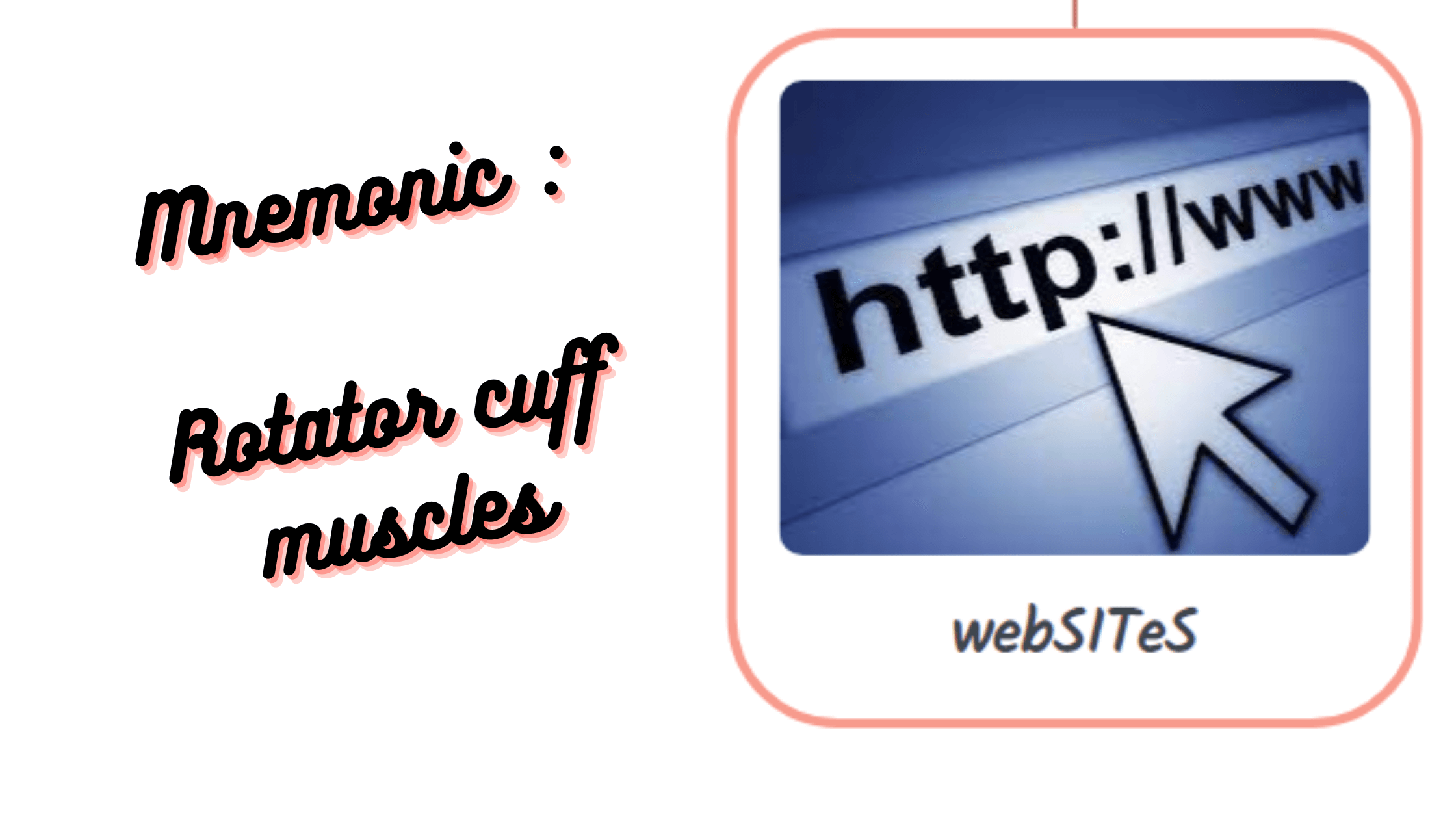 Mnemonic _ Rotator cuff muscles Medical notes for NExT medical exit test