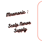 Mnemonic _ Scalp Nerve Supply Medical Notes