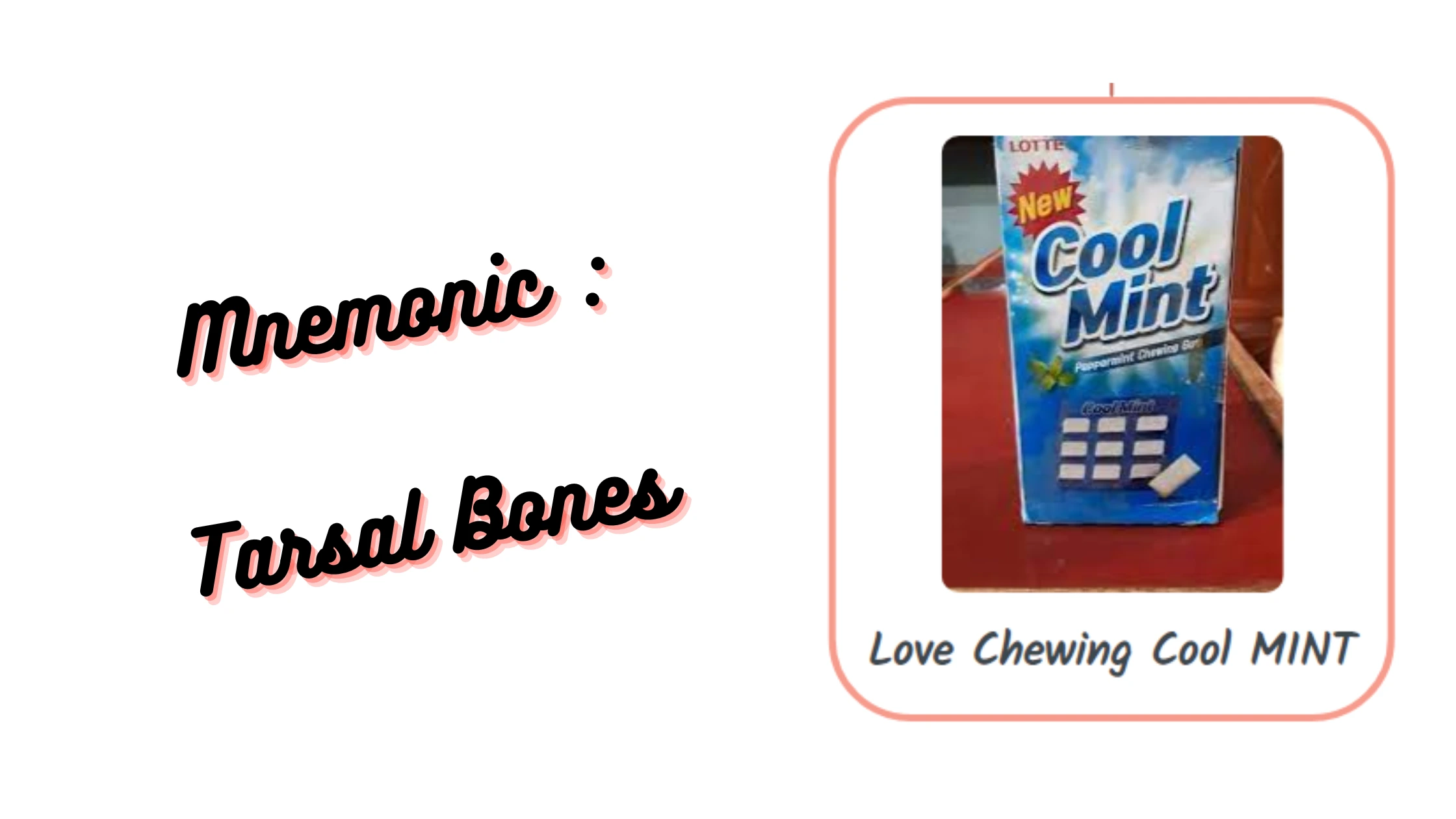 You are currently viewing [Very Cool] Mnemonic : Tarsal Bones