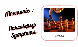 [Very Cool] Mnemonic : Narcolepsy Symptoms