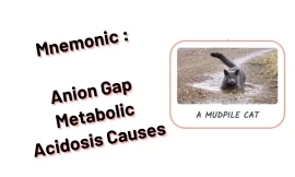 [Very Cool] Mnemonic : Anion Gap Metabolic Acidosis Causes