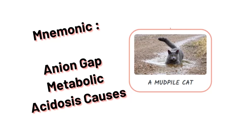 Medical Mnemonic _ Anion Gap Metabolic Acidosis Causes