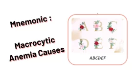 [Very Cool] Mnemonic : Macrocytic Anemia Causes