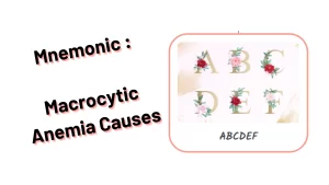 Medical Mnemonic _ Macrocytic Anemia Causes