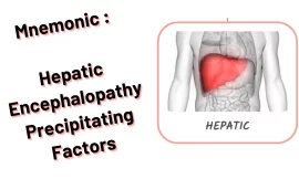 Mnemonic : Hepatic Encephalopathy Precipitating Factors