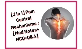 [3 in 1] Pain Central Mechanisms : [Med Notes+MCQ+Q&A]
