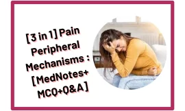 [3 in 1]Pain Peripheral Mechanisms : [Med Notes+MCQ+Q&A]