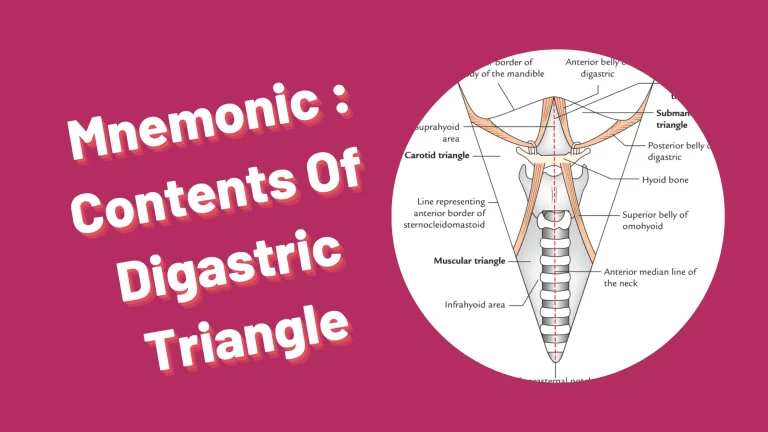 Read more about the article [Very Cool] Mnemonic : Digastric Triangle Contents