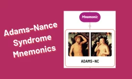Adams–Nance Syndrome Mnemonics [NEVER FORGET]
