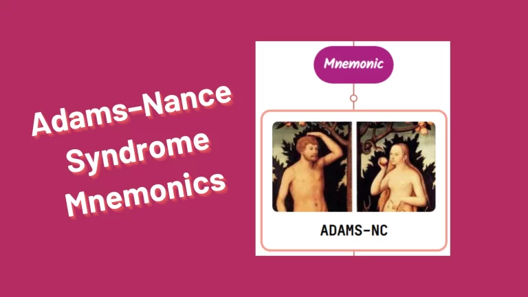 Read more about the article Adams–Nance Syndrome Mnemonics [NEVER FORGET]