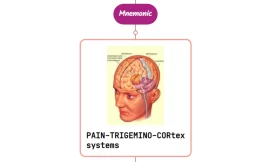 Anatomy & Physiology Of Headache Overview [Mnemonic]
