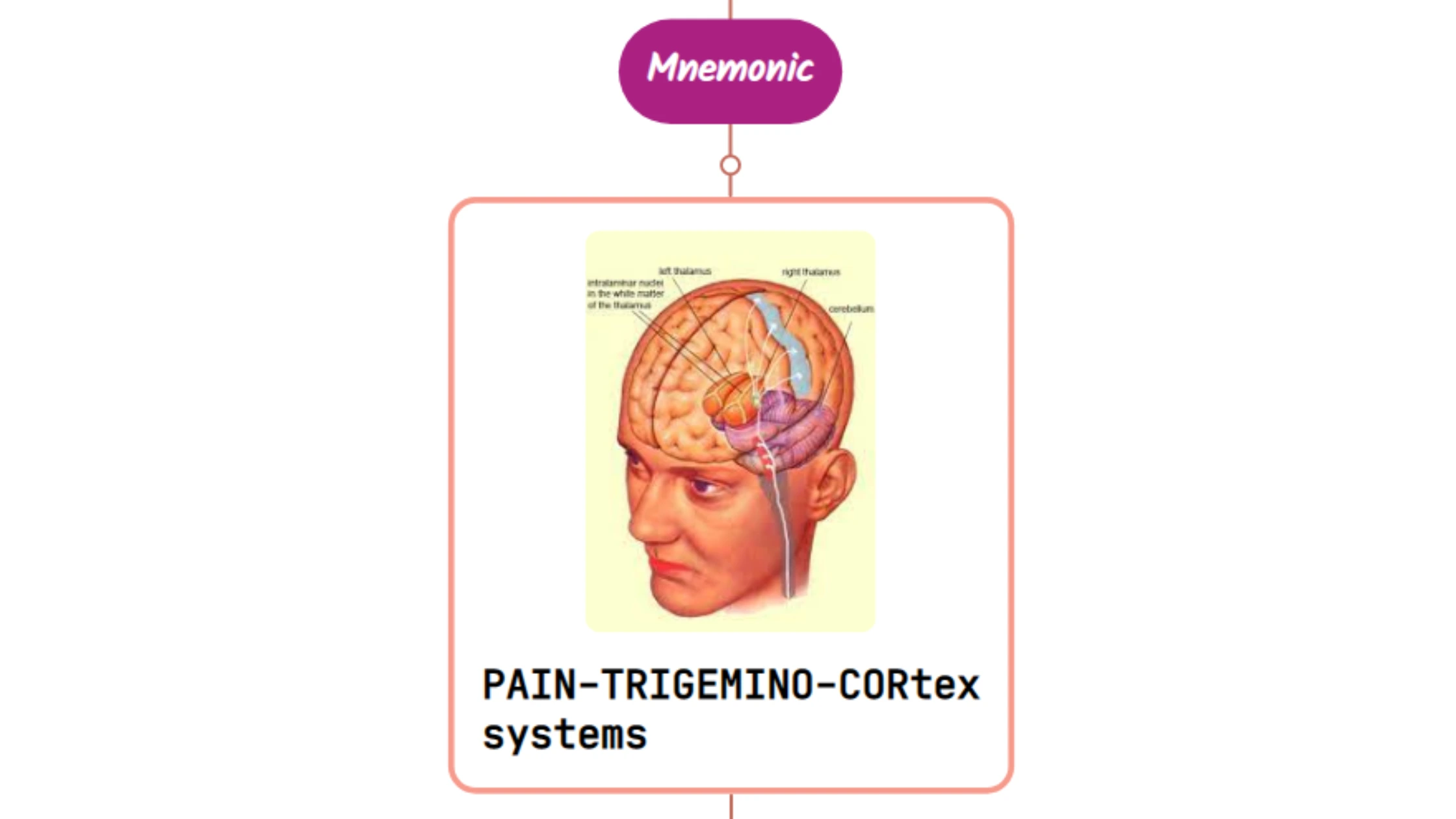 You are currently viewing Anatomy & Physiology Of Headache Overview [Mnemonic]
