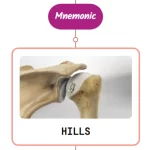 Read more about the article Hill-Sachs Lesion Mnemonics [NEVER FORGET AGAIN]
