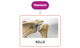 Hill-Sachs Lesion Mnemonics [NEVER FORGET AGAIN]