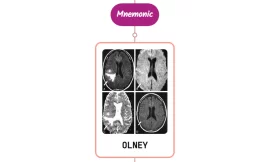 Olney’s Lesions Mnemonics [NEVER FORGET AGAIN]