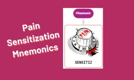 Pain Sensitization Mnemonics [Remember Easily]