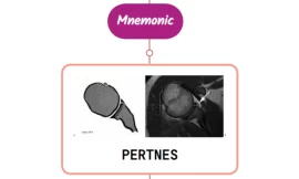 Pertnes Lesion : Mnemonics [NEVER FORGET AGAIN]