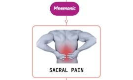 Sacral Pain with Gynecologic and Urologic Disease : Mnemonics