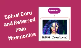 Pain : Spinal Cord and Referred Pain Mnemonics [Remember Easily]
