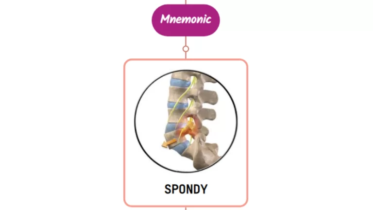 Read more about the article Spondylolisthesis Important Facts : Mnemonics