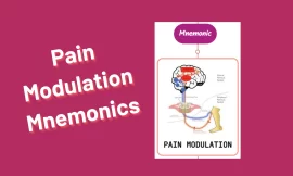 Pain Modulation Mnemonics [Remember Easily]