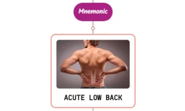 Acute Low Back Pain Without Radiculopathy Treatment : Mnemonics