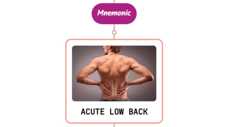 Read more about the article Acute Low Back Pain Without Radiculopathy Treatment : Mnemonics