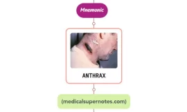 Anthrax Rash Mnemonic