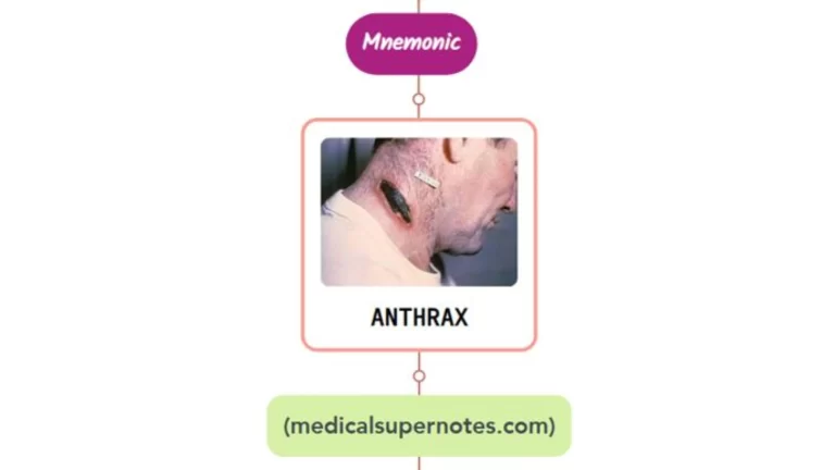 Read more about the article Anthrax Rash Mnemonic