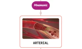 Arterial Thoracic Outlet Syndrome : Mnemonic