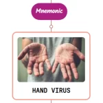 Read more about the article Hand Foot Mouth Disease Rash Mnemonic : [NEVER FORGET AGAIN]