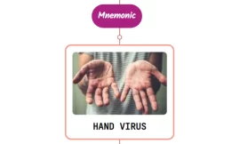 Hand Foot Mouth Disease Rash Mnemonic : [NEVER FORGET AGAIN]