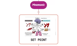 Hypothalamic Set Point Elevation By Cytokines : Mnemonic