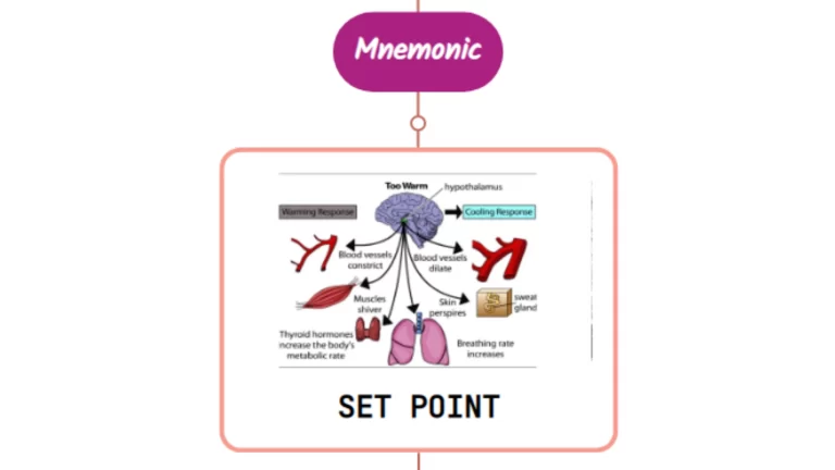 Read more about the article Hypothalamic Set Point Elevation By Cytokines : Mnemonic