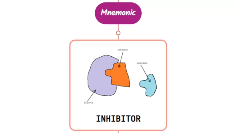 Read more about the article Mechanisms Of Antipyretic Agents In Fever : Mnemonic