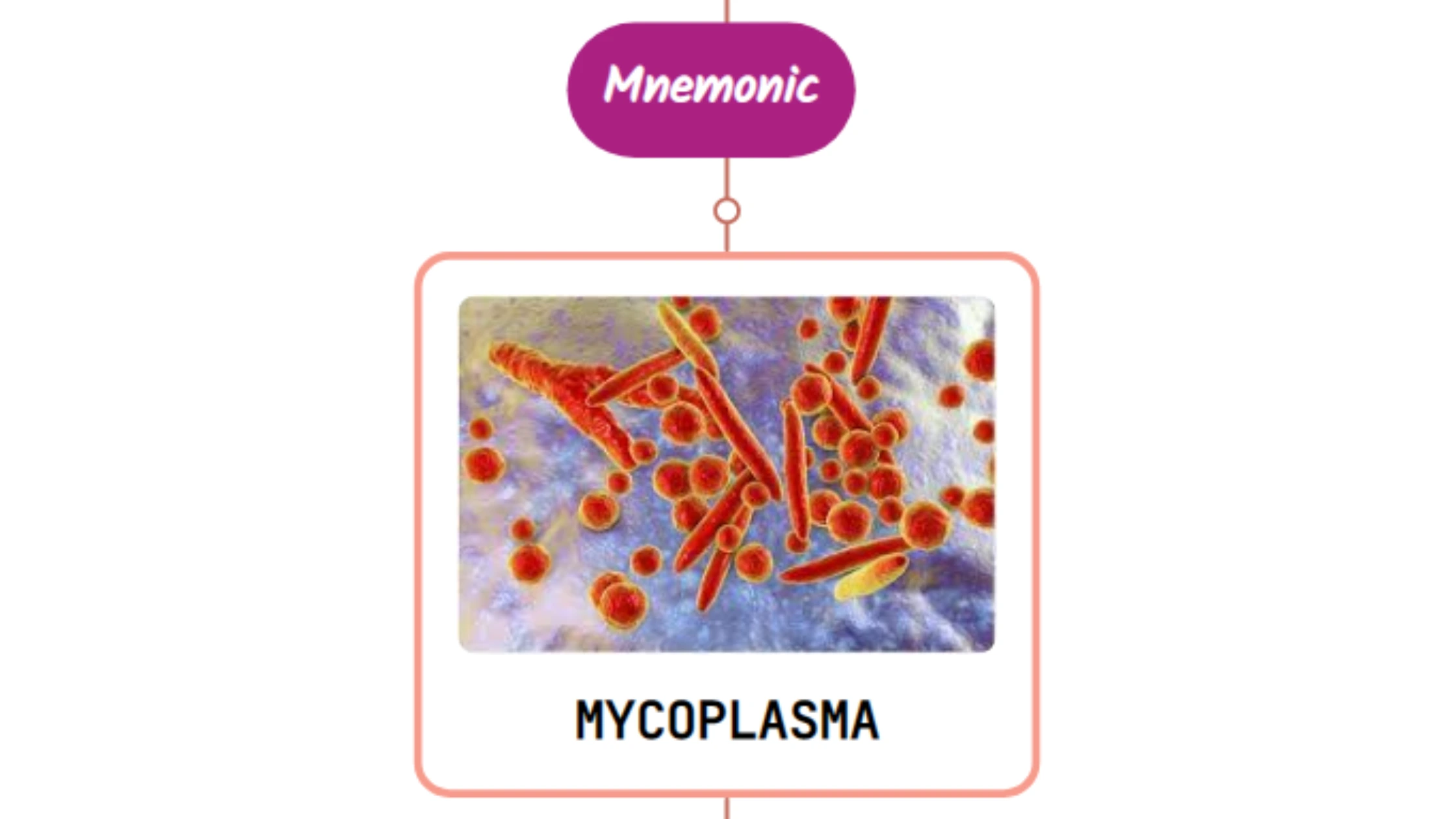 You are currently viewing Mycoplasma-Induced Rash and Mucositis : Mnemonic