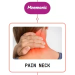 Read more about the article Pain In Neck & Shoulder : Mnemonics